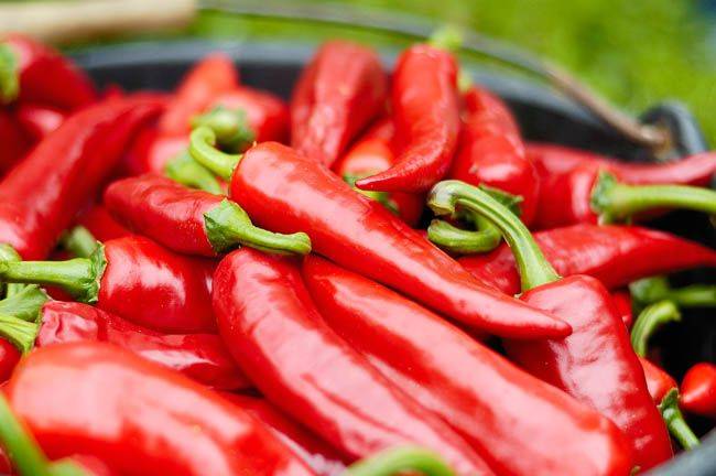 Redonner une saveur à vos plats grâce au piment d’Espelette